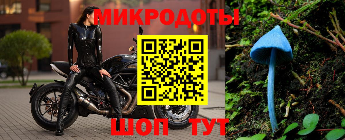 Псилоцибиновые грибы GOLDEN TEACHER Ессентуки